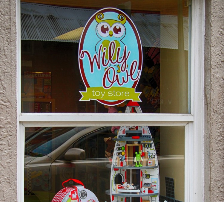 wily-owl-toy-store-photo